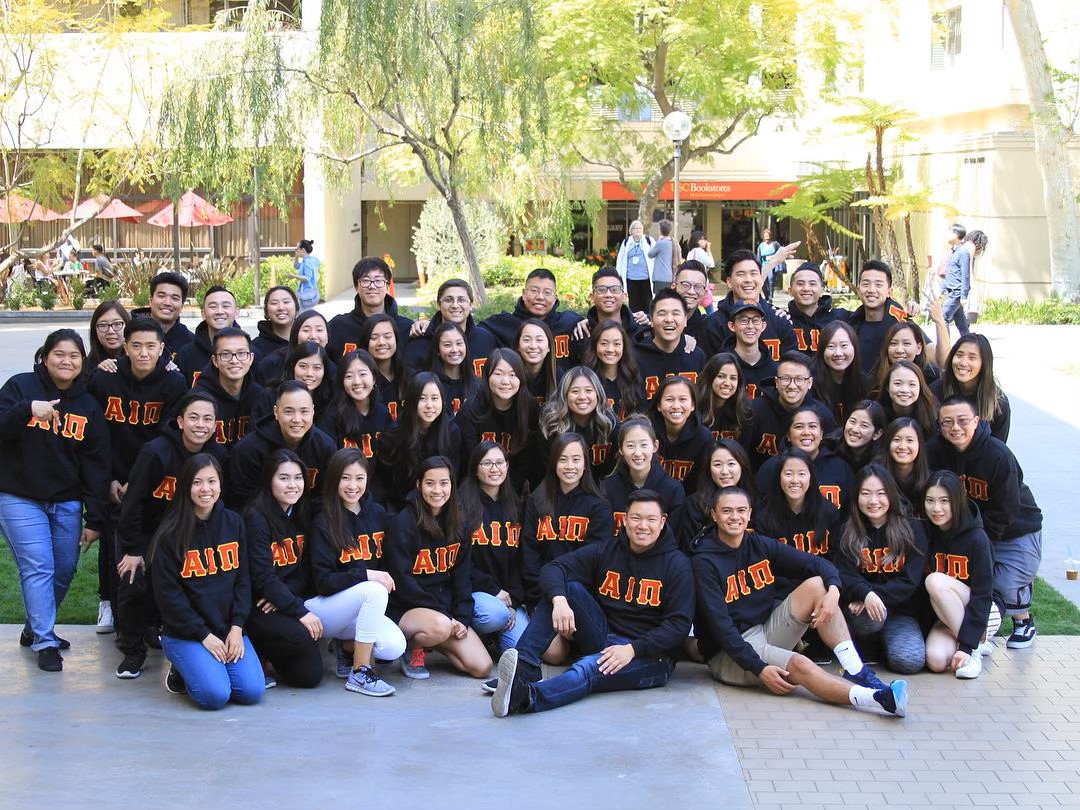 Alpha Iota Pi Alumni Association Endowed Scholarship